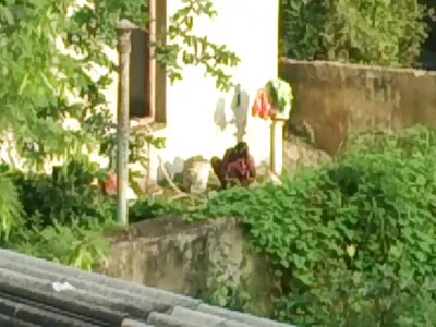 വെളുത്ത കോഴി കൊഴുത്ത മുലകുടിക്കുന്നു