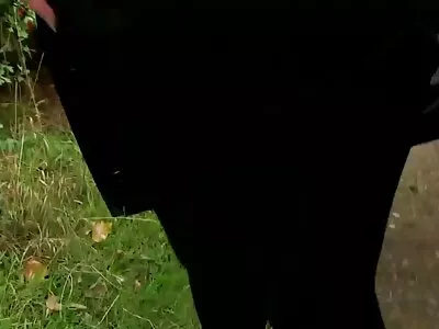നിക്കി ബെൻസ്, കെയ്‌റാൻ ലീയെ അവൾക്ക് കം ആക്കുക