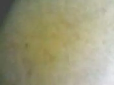 ബ്ലെയർ ഐവറി ഒരു വാനിൽ കുടുങ്ങി